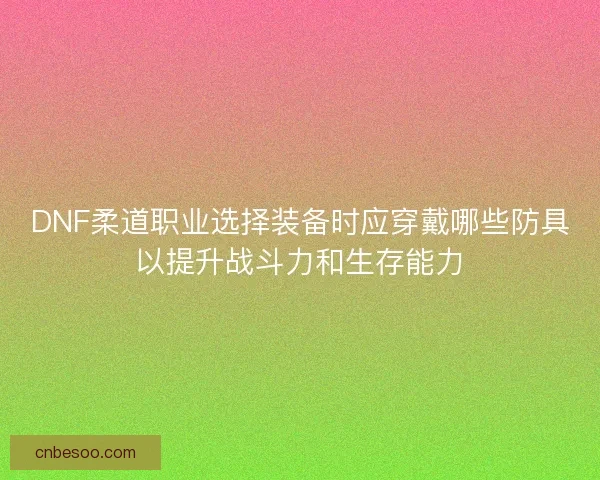DNF柔道职业选择装备时应穿戴哪些防具以提升战斗力和生存能力